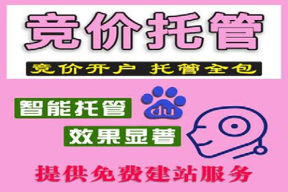 案例分析：信息流平台助力品牌增长